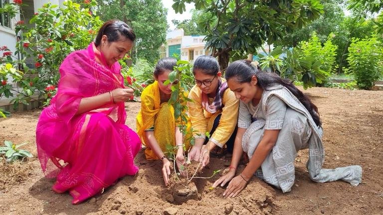 Tree Plantation