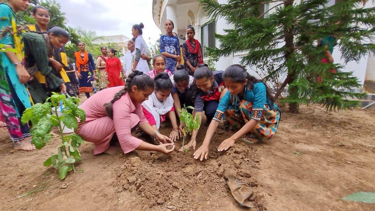 Tree Plantation