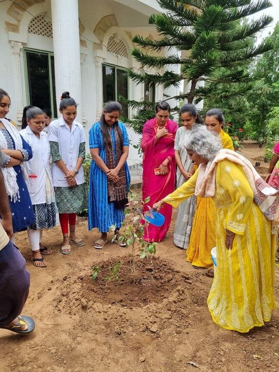 Tree Plantation